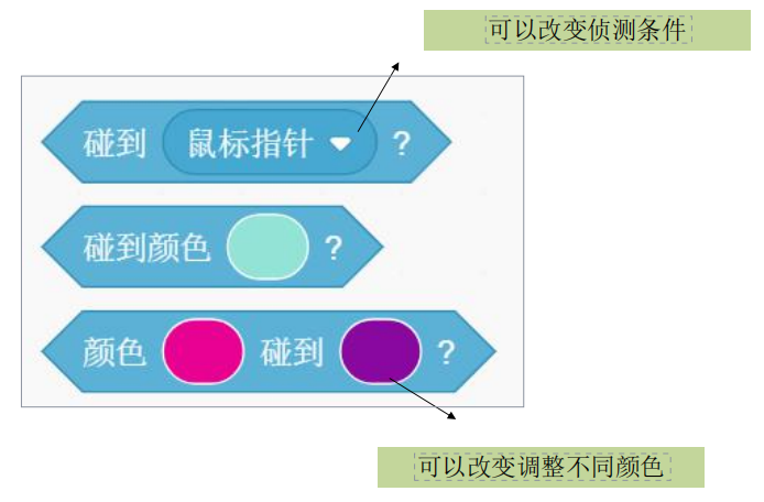 19、使用侦测相关指令-scratch教程-Scratch作品|教程|素材_ScratchTop少儿编程网