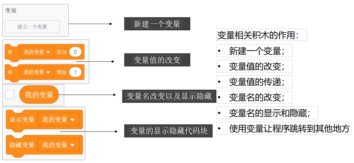 22、（1）能够新建、删除变量和修改变量名-scratch教程-Scratch作品|教程|素材_ScratchTop少儿编程网